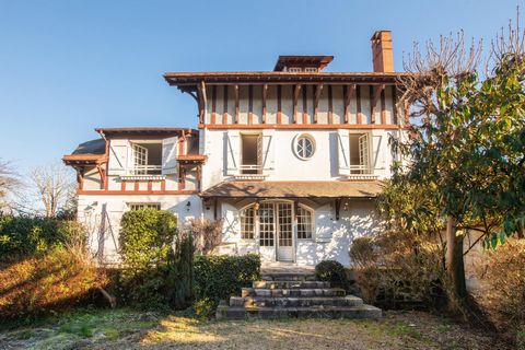 photo no. 13