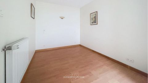 photo no. 6