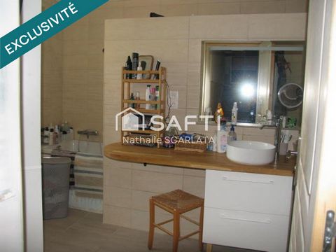 photo no. 8