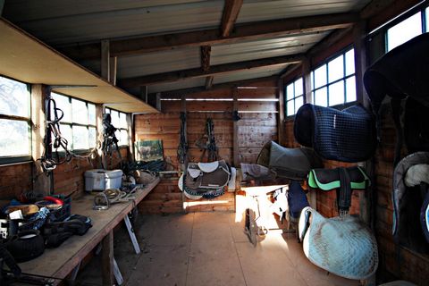 photo no. 17