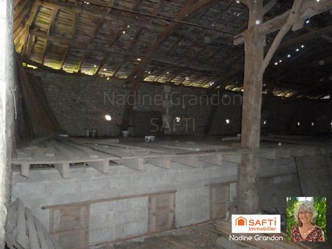 photo no. 19