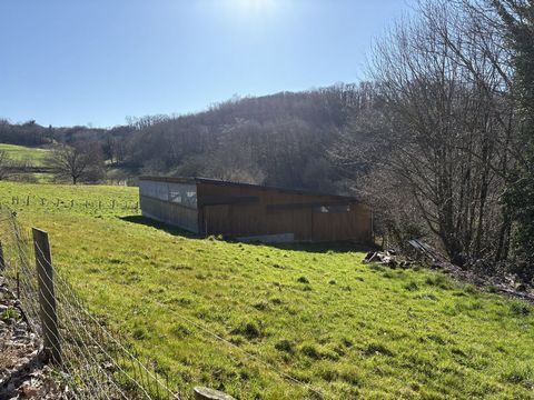 photo no. 16