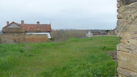 photo no. 2
