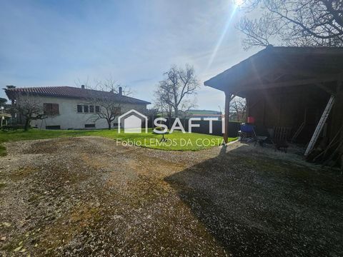 photo no. 2