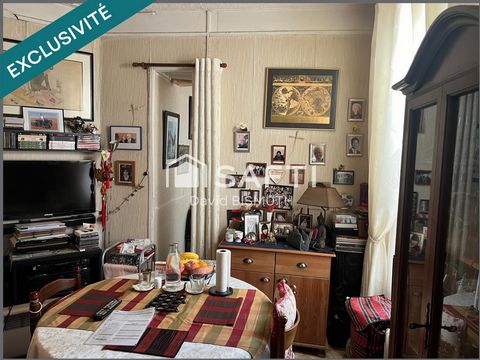 photo no. 11