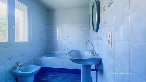 photo no. 7