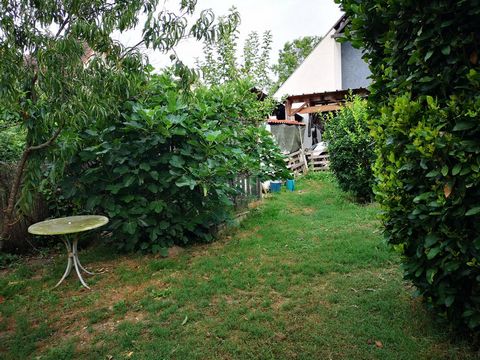 photo no. 11