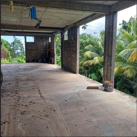 photo no. 10