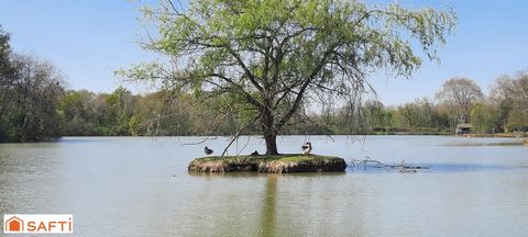 photo no. 9