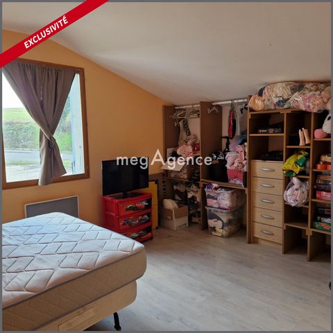 photo no. 8