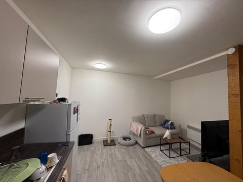 photo no. 6
