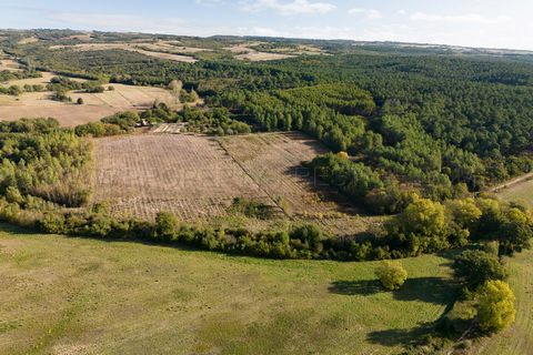 CARCASSONNE PROPRIETE 33 HA RUISSEAU