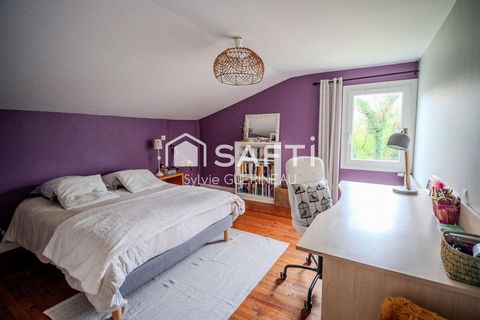 photo no. 17