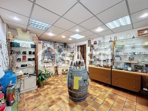 photo no. 6