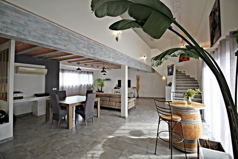 photo no. 18