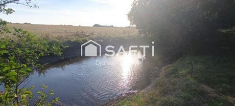 photo no. 13