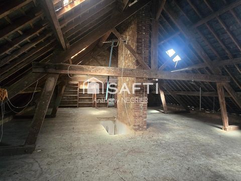 photo no. 8