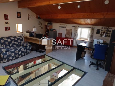 photo no. 13