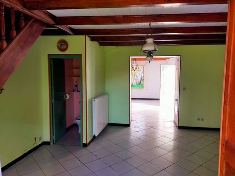 photo no. 6