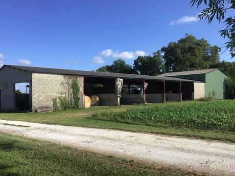 Maison et bâtiment agricole sur 13928 m2 de terrain.