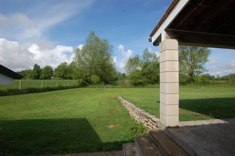 photo no. 12