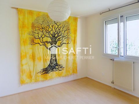 photo no. 9