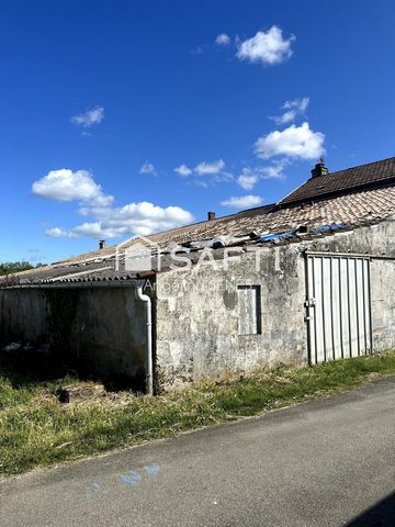 photo no. 6