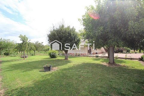 photo no. 11