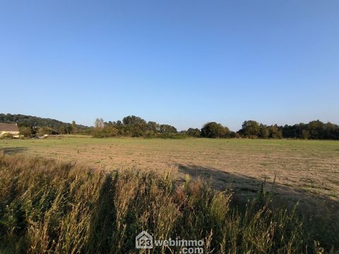 photo no. 15