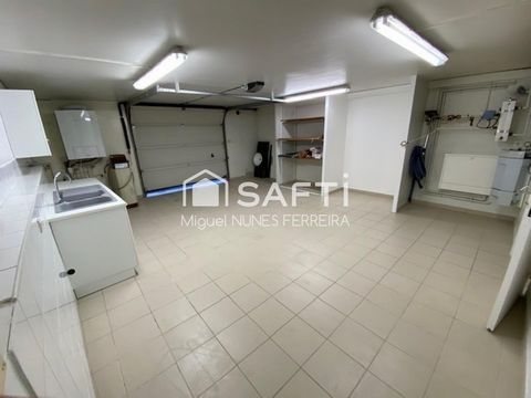 photo no. 12