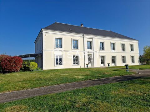 photo no. 10