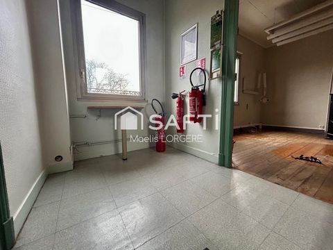 photo no. 11