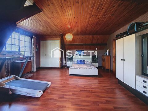 photo no. 15