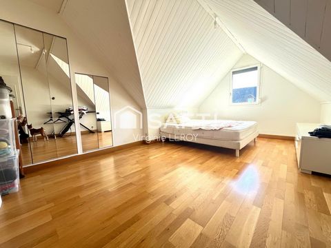 photo no. 6