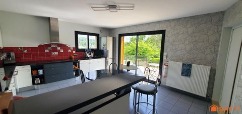 photo no. 12