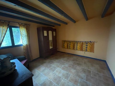 photo no. 10