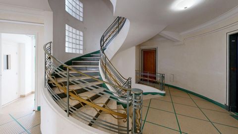 photo no. 7