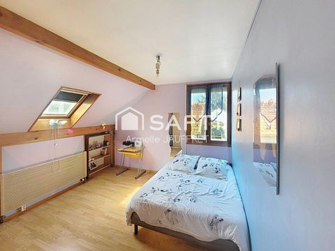 photo no. 13