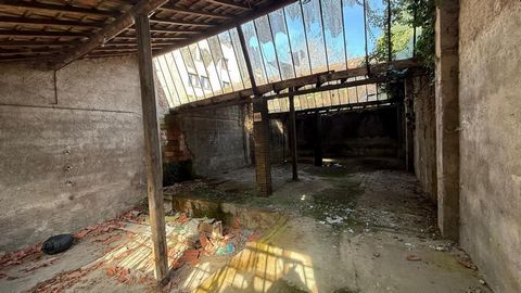 photo no. 5