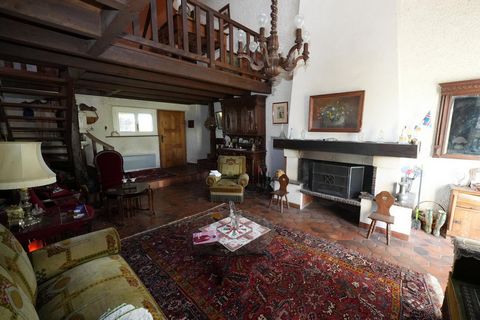 photo no. 4