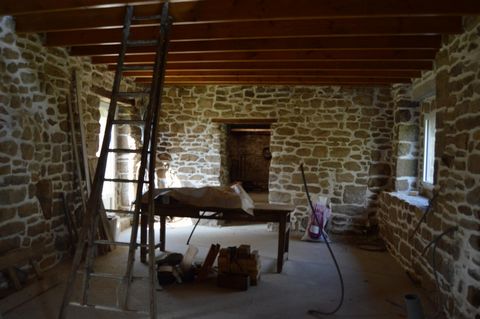 photo no. 7
