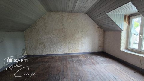 photo no. 3
