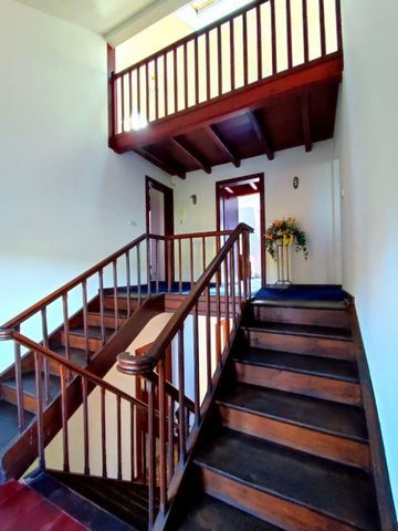 photo no. 14