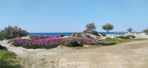 Appartement - 57m² - Saintes-Maries-de-la-Mer