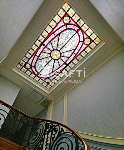 photo no. 11