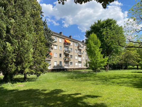 photo no. 2