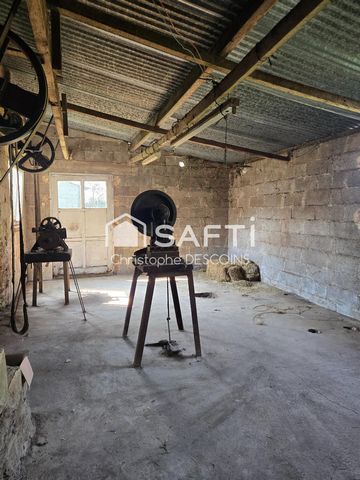 photo no. 12