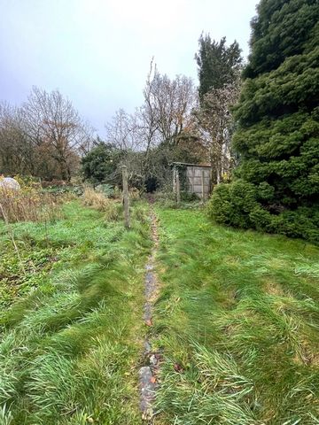 photo no. 2