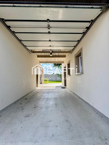 photo no. 6