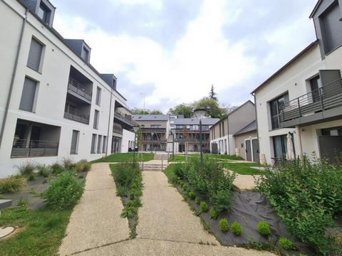photo no. 2
